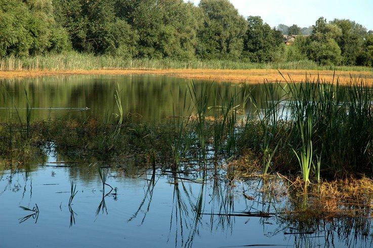 Лугове з panoramio.com - Лугове