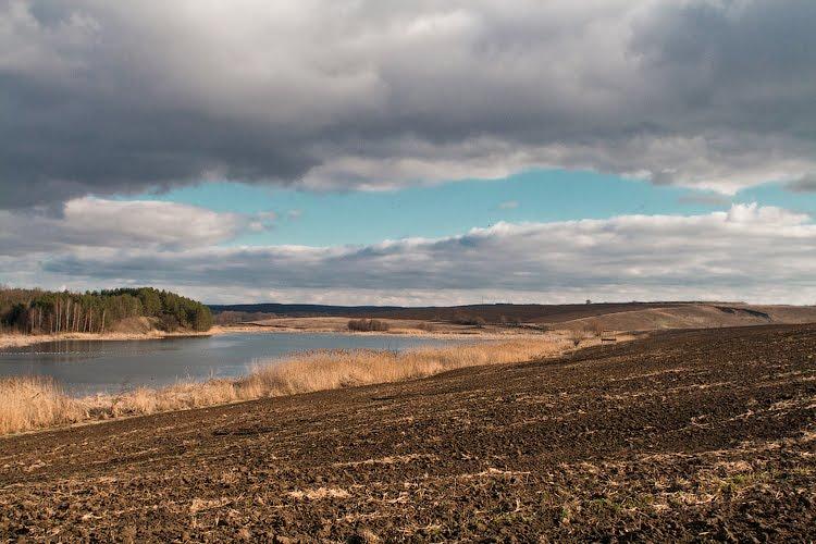 Прутильці з panoramio.com - Прутильці