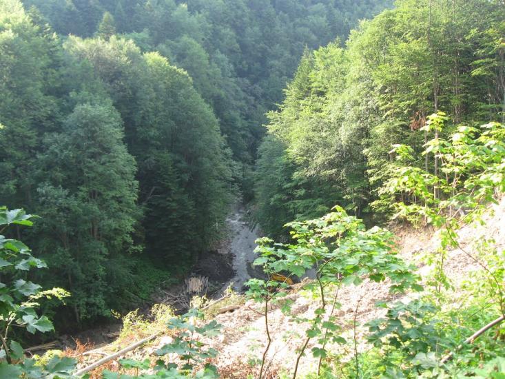 Шандровець з panoramio.com - Шандровец