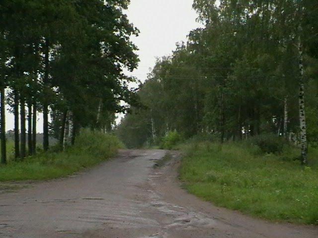 Медведівка з panoramio.com - Медведівка