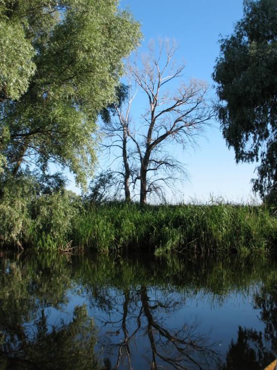 Сокирна з panoramio.com - Сокирна