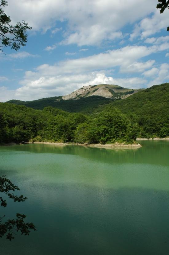 Ворон з panoramio.com - Ворон