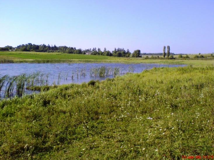 Гайове з panoramio.com - Гайове