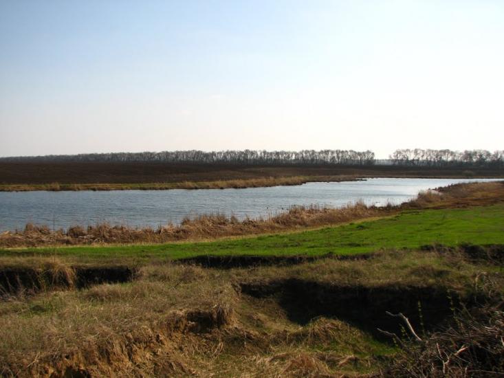 Розаліївка з panoramio.com - Розаліївка