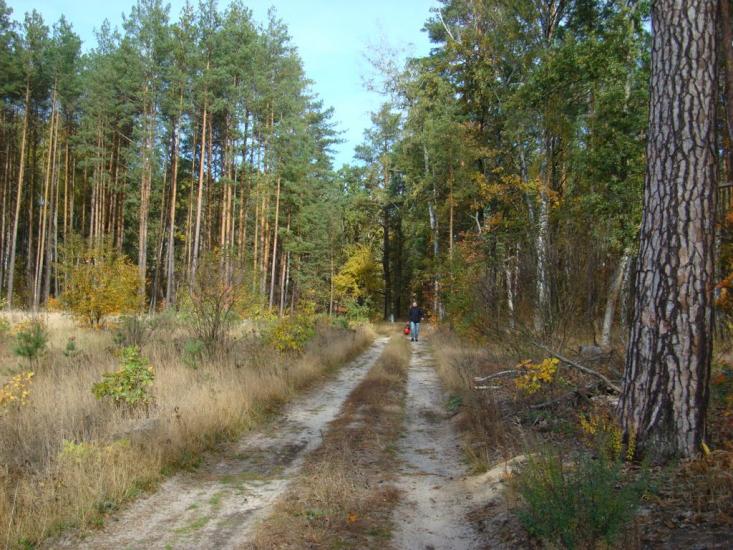 Пісківка з panoramio.com - Piskivka