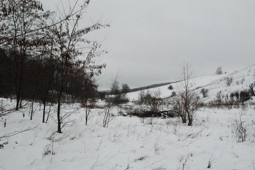 Великі Будища з panoramio.com - Великие Будища