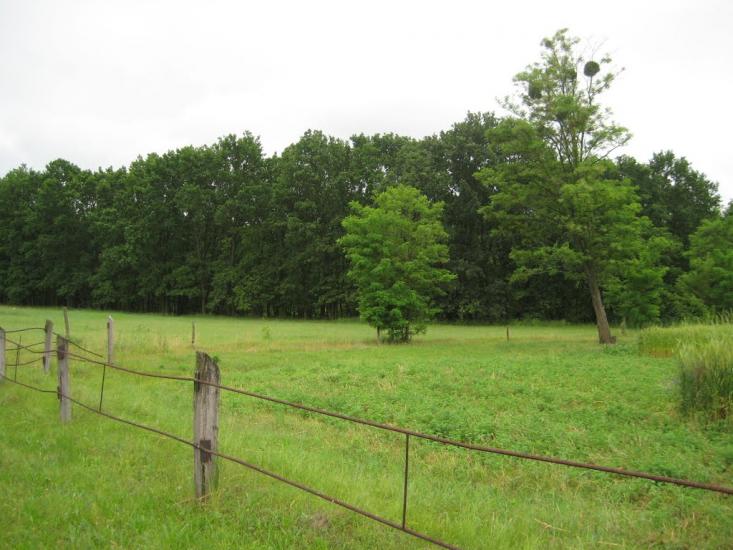 Старосілля з panoramio.com - Starosillya