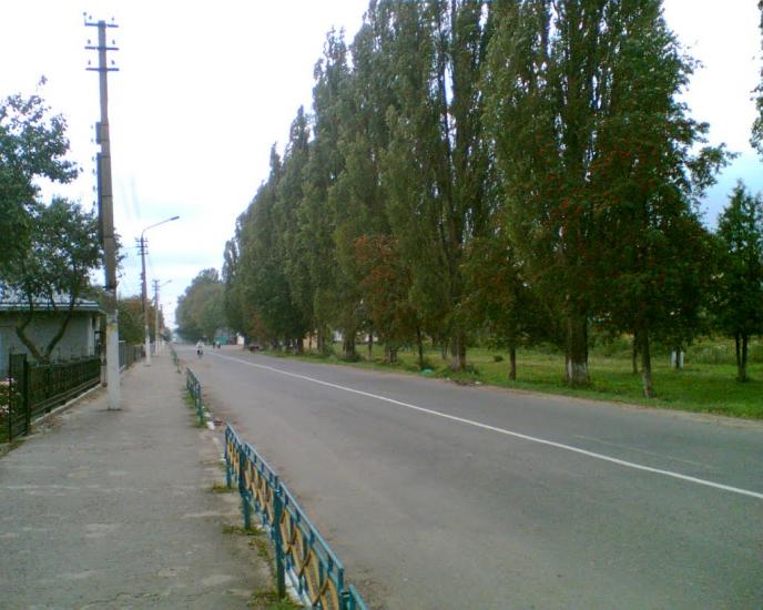 Берегомет з panoramio.com - Берегомет