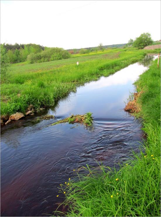Сарни з panoramio.com - Сарны