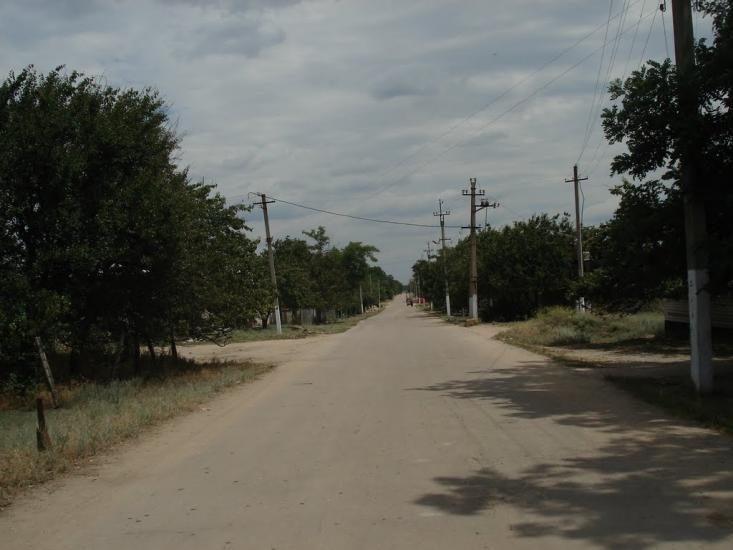 Новотимофіївка з panoramio.com - Новотимофіївка