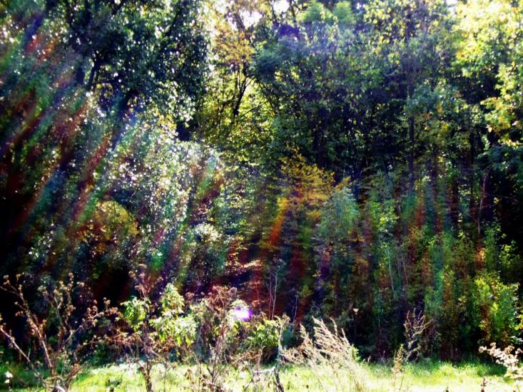 Романівка з panoramio.com - Романівка