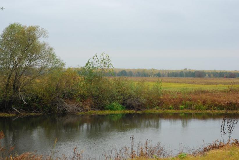 Остапівка з panoramio.com - Остаповка