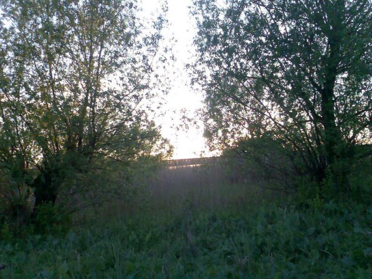 Новомиргород з panoramio.com - Новомиргород