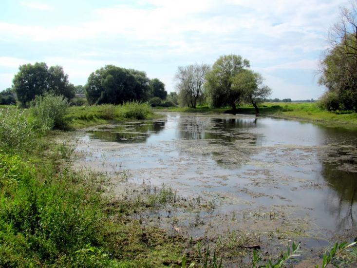 Колки з panoramio.com - Колки