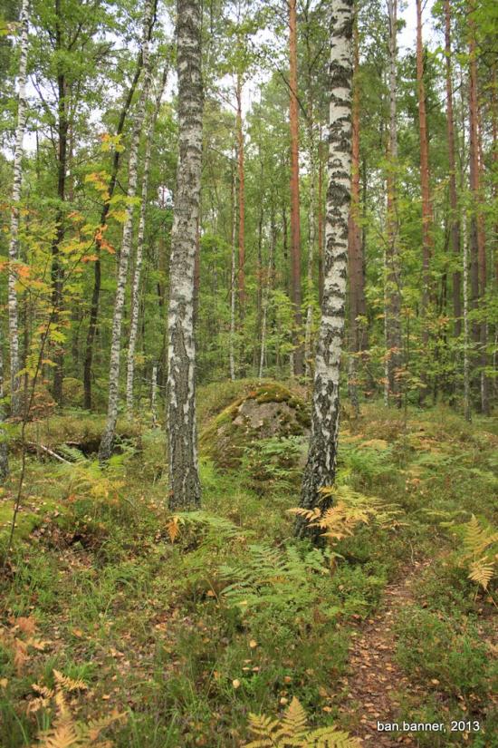 Рудня-Замисловицька з panoramio.com - Рудня-Замисловицька
