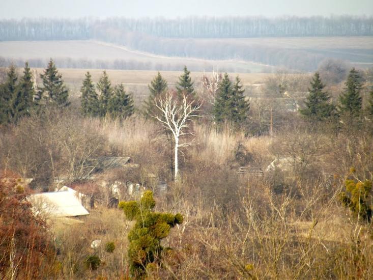 Романівка з panoramio.com - Романівка