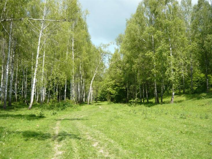Рудня з panoramio.com - Рудня