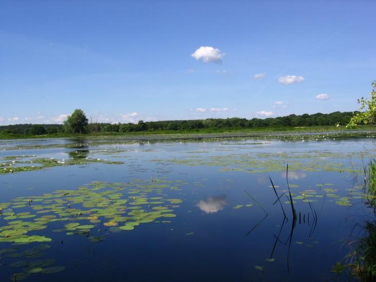 Романків з panoramio.com - Романков