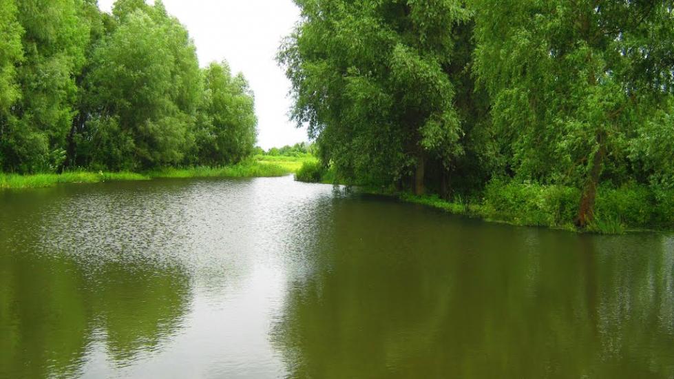 Підлісне з panoramio.com - Підлісне