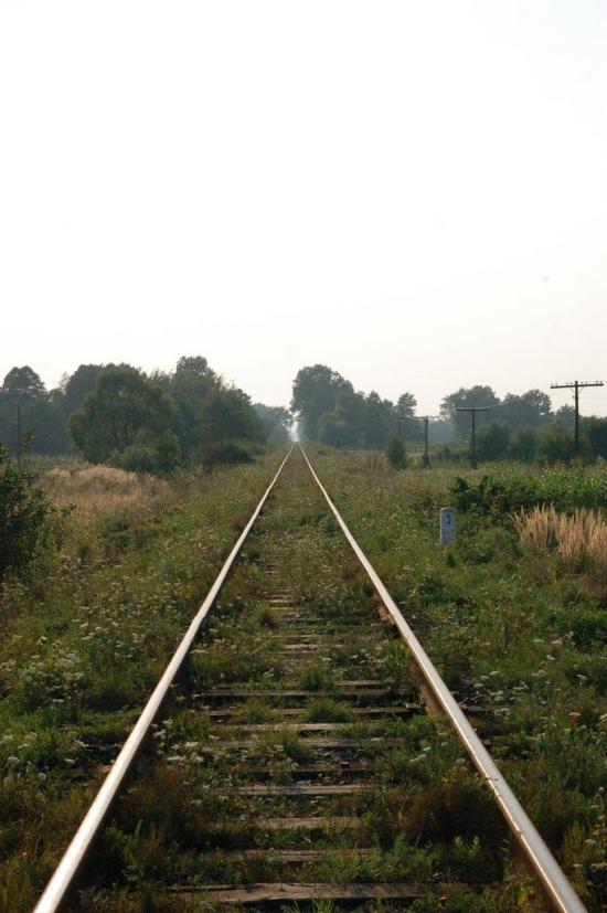 Сторожинець з panoramio.com - Сторожинец