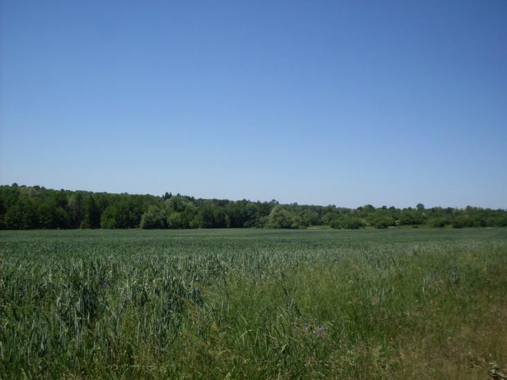 Шура-Мітлинецька з panoramio.com - Шура-Мітлинецька