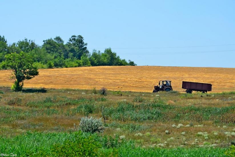 Комінтернівське з panoramio.com - Kominternivske