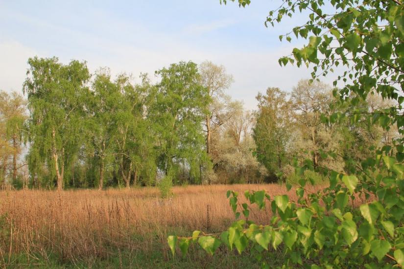 Лебедівка з panoramio.com - Лебедівка