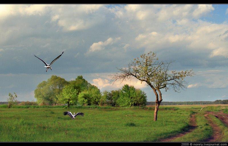 Жукин з panoramio.com - Zhukyn