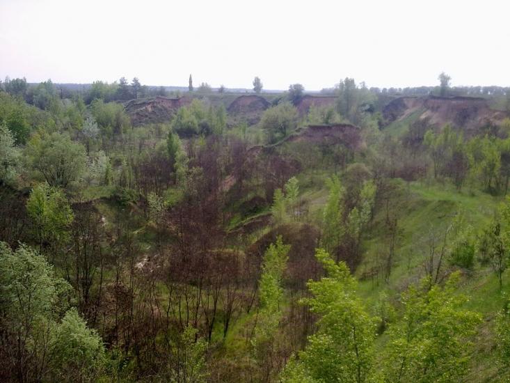 Стара Гнилиця з panoramio.com - Старая Гнилица