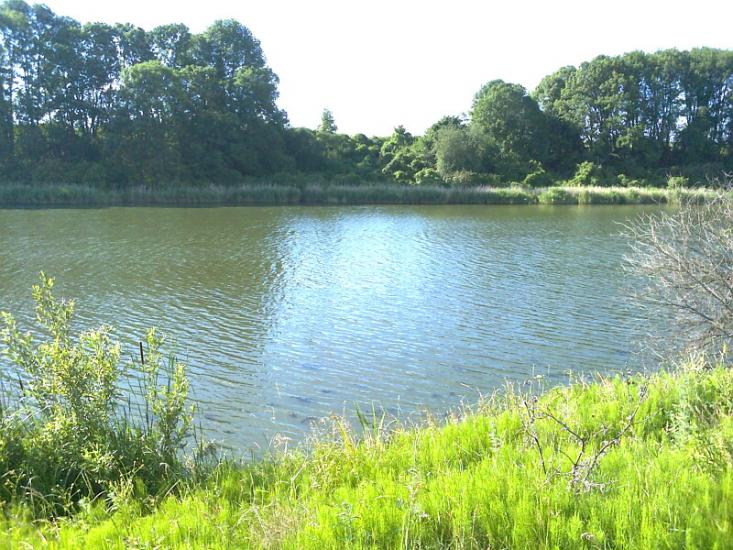 Писарівка з panoramio.com - Писарівка
