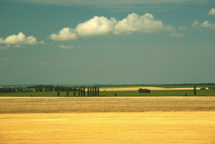 Верхня Жужманівка з panoramio.com - Верхня Жужманівка