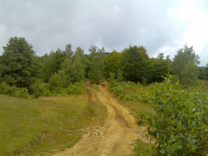 Ільниця з panoramio.com - Ільниця
