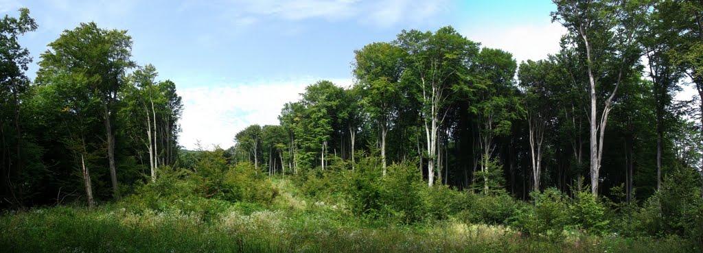 Ворочово з panoramio.com - Ворочово