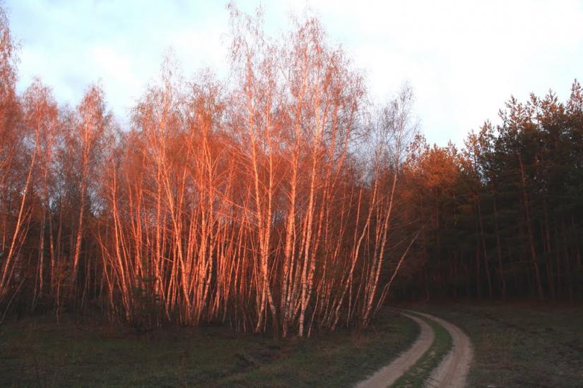 Чугуїв з panoramio.com - Чугуев