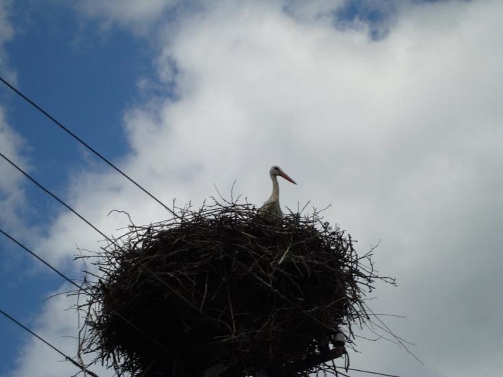Корюківка з panoramio.com - Корюковка