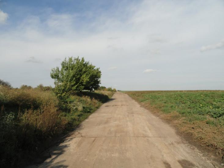 Сурсько-Михайлівка з panoramio.com - Sursko-Mykhaylivka