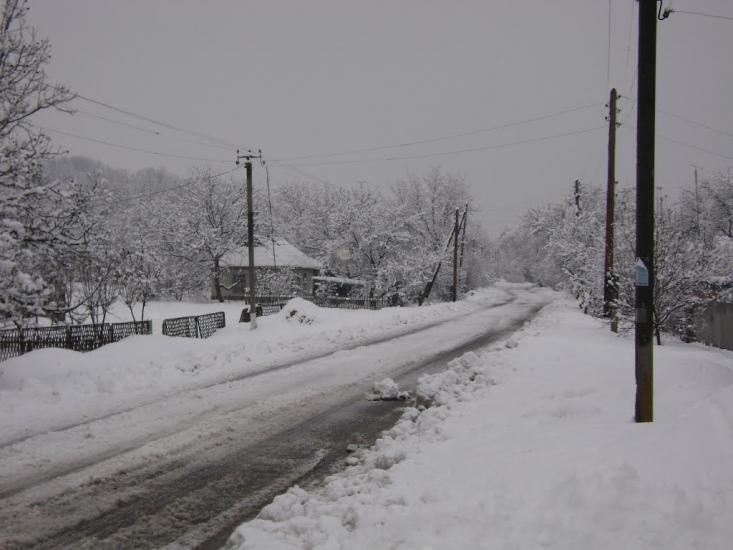 Білики з panoramio.com - Белики