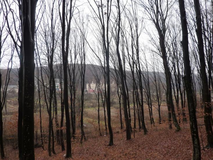 Нижнє Солотвино з panoramio.com - Нижнее Солотвино