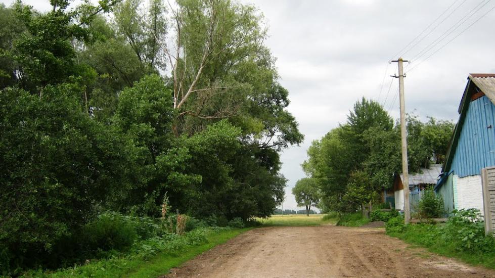 Підлісне з panoramio.com - Підлісне