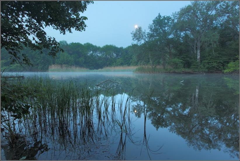 Коропове з panoramio.com - Коропово