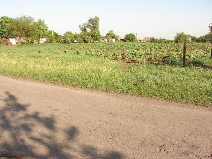 Дмитрівка з panoramio.com - Дмитровка