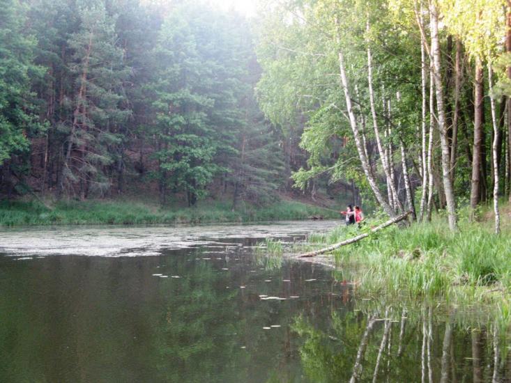 Лошакова Гута з panoramio.com - Лошакова Гута