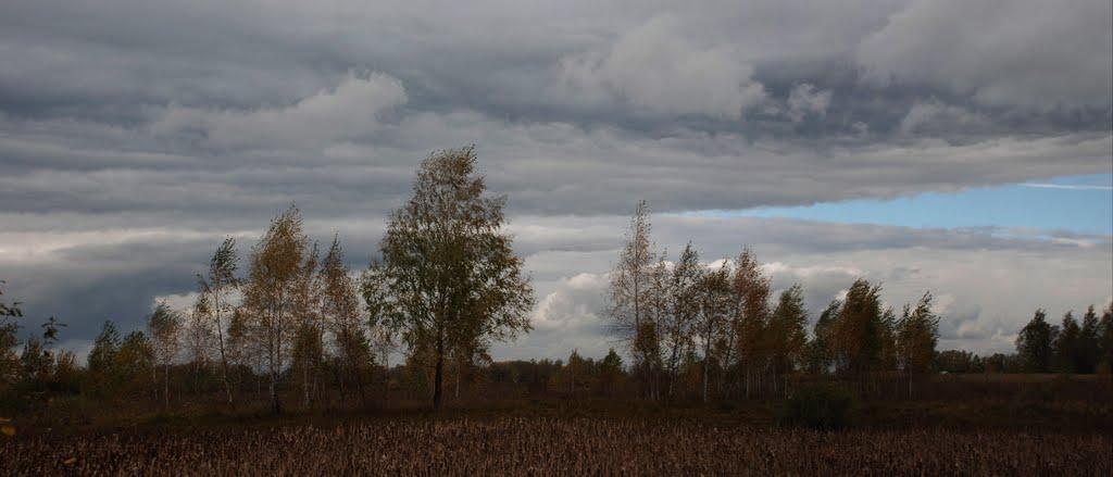 Остапівка з panoramio.com - Остапівка