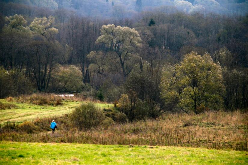 Біньова з panoramio.com - Бенева