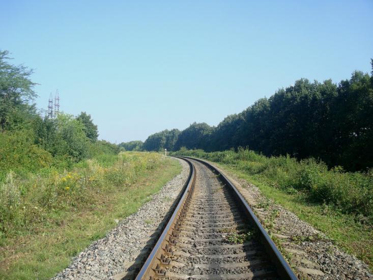Панівці з panoramio.com - Панівці