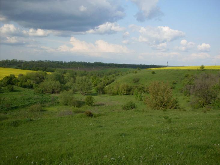 Четвертинівка з panoramio.com - Четвертинівка