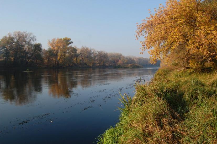 Привілля з panoramio.com - Приволье