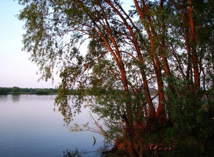 Осещина з panoramio.com - Осещина