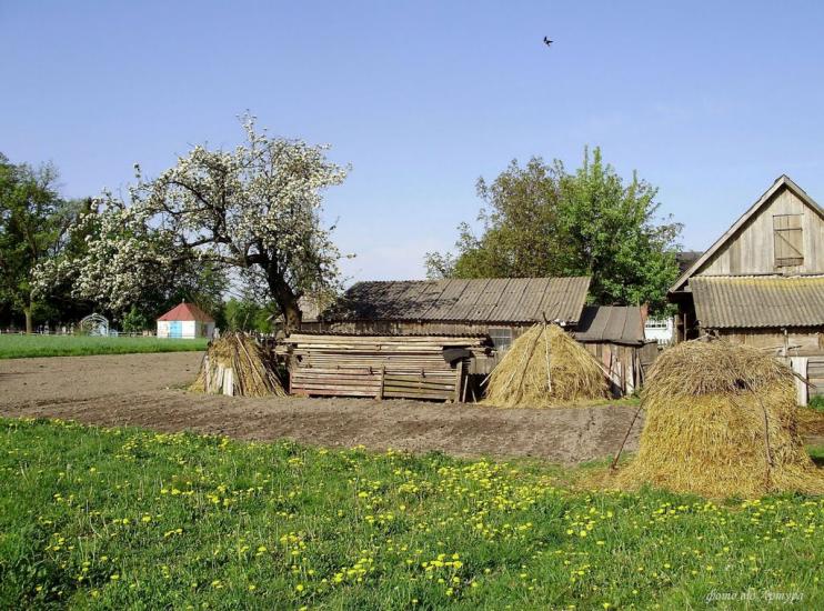 Звози з panoramio.com - Zvozy