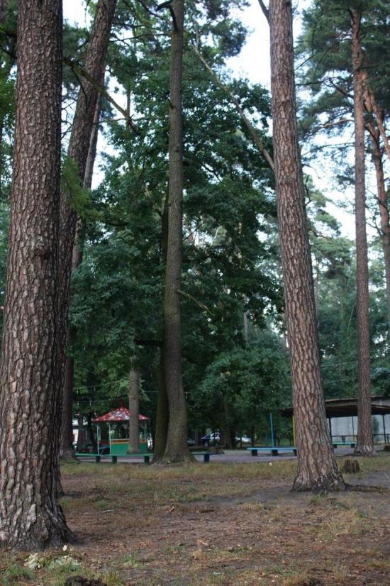 Ворзель з panoramio.com - Ворзель